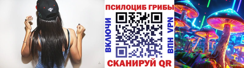 Купить закладки Бологое Галлюциногенные грибы Cubensis