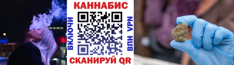 Купить Бологое Конопля план